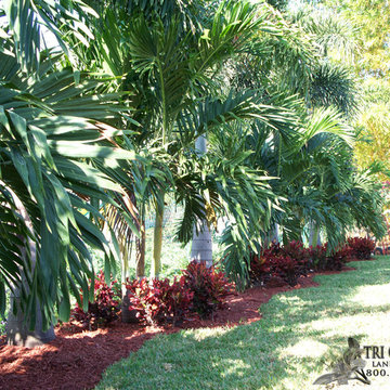 Back Yard Landscape