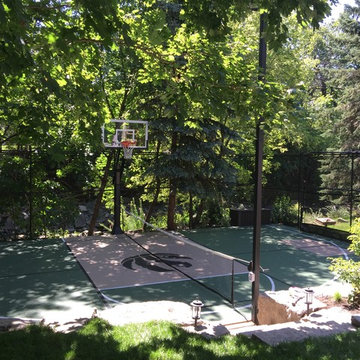 Back Yard Multi Sport Court