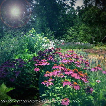 Back Yard Perennial Garden in July