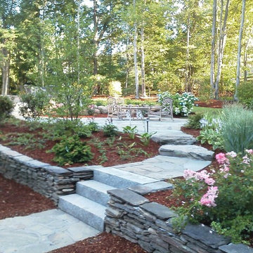 Back yard renovation
