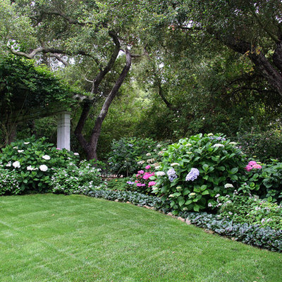 Inspiration for a traditional shade backyard landscaping in Santa Barbara.