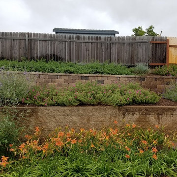 Back yard slope terrace