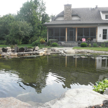 Back Yard Water Feature & Pond