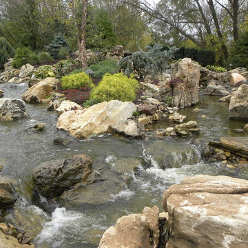 Back Yard Wonderland