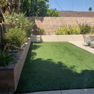 Backyard clean up and remodel