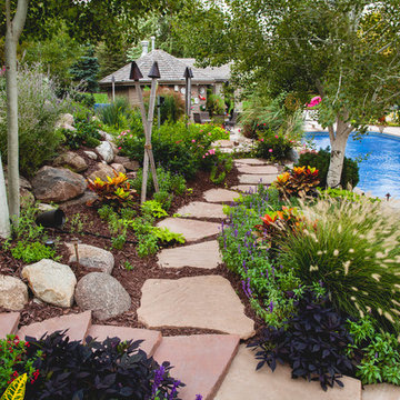 Backyard Dream