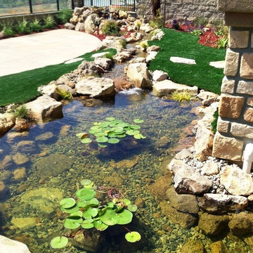 Backyard ecosystem ponds