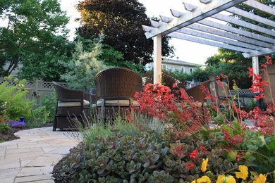 Imagen de jardín bohemio de tamaño medio en patio trasero con exposición total al sol y adoquines de hormigón