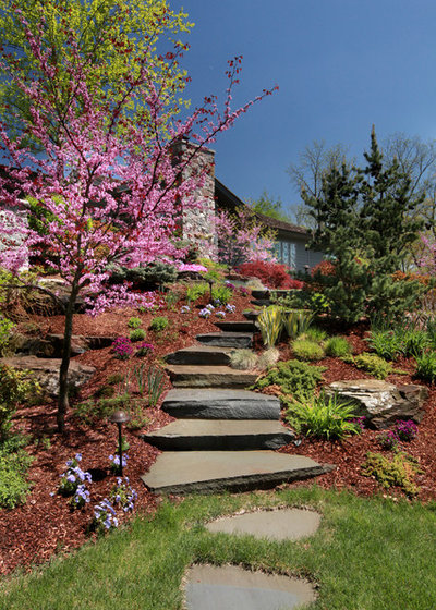 Traditional Landscape by Windscapes Landscaping