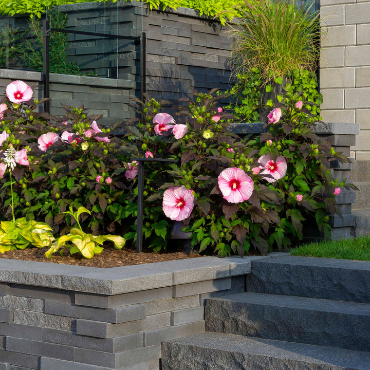 Backyard Retaining Wall Ideas - Photos & Ideas | Houzz