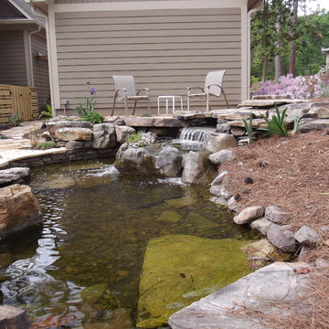 Backyard Koi Pond
