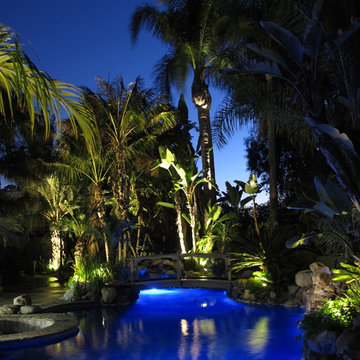 Backyard Landscape Lighting