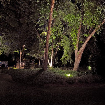 Backyard Lighting Examples