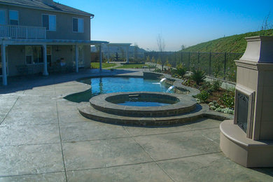 Backyard Oasis | Freeform Pool