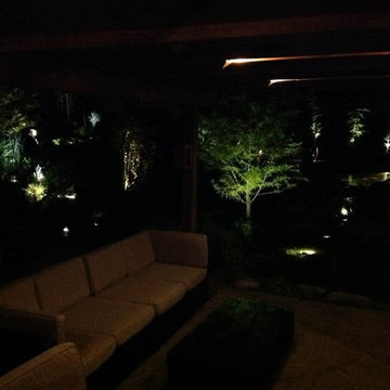 Backyard Oasis