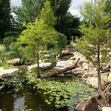 Backyard Oasis