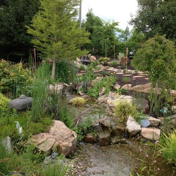 Backyard Oasis