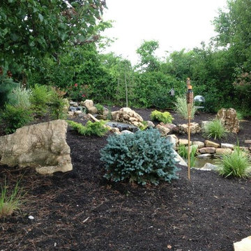 Backyard Oasis
