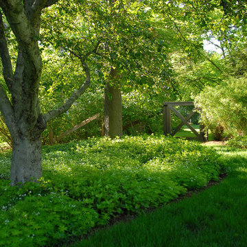 Backyard Oasis - Shelburne, VT - Shade Garden Bed