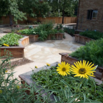 Backyard Pathways and Raised Beds