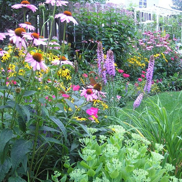 Backyard Perennial Garden