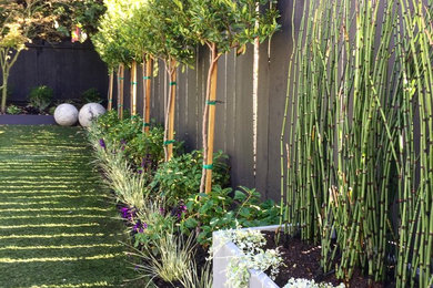 Diseño de jardín de secano moderno de tamaño medio en patio trasero con jardín de macetas y exposición parcial al sol
