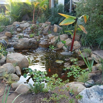 Backyard Ponds