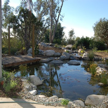 Backyard Ponds