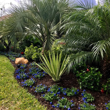 Backyard pool buffer