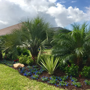 Esempio di un giardino formale tropicale esposto a mezz'ombra di medie dimensioni e dietro casa con pacciame