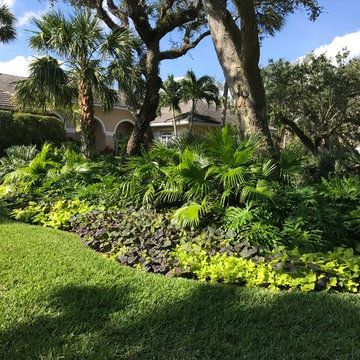 Backyard Pool Buffer