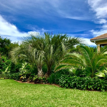 Backyard Pool Buffer