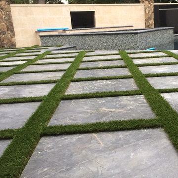 Backyard Poolside