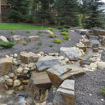 Backyard Renovation