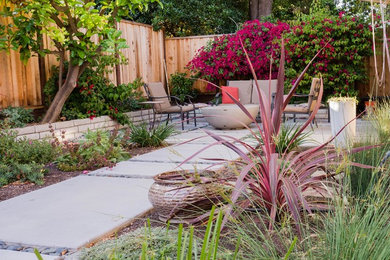 Inspiration for a contemporary landscaping in San Francisco.