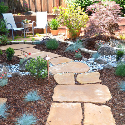 This is an example of a mid-sized traditional backyard stone garden path in San Francisco.