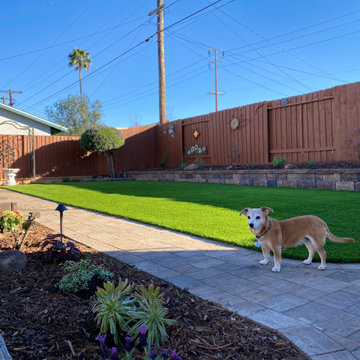 Backyard Update - Clairemont