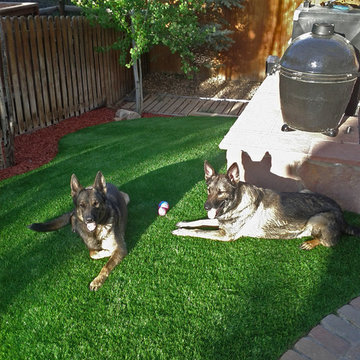 Backyard with Artificial Grass in Broomfield