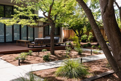 This is an example of a mid-sized contemporary backyard walkway in San Francisco with decking.