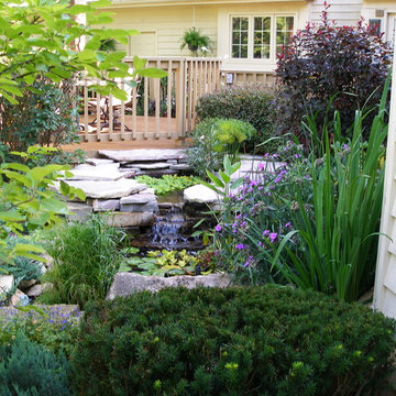 Backyard with Water Feature