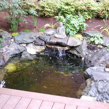 Backyard Zen