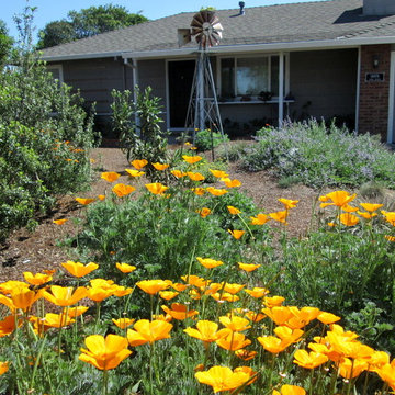 Baker Family Farmouse California Native Garden