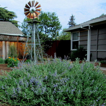 Baker Family Farmouse California Native Garden