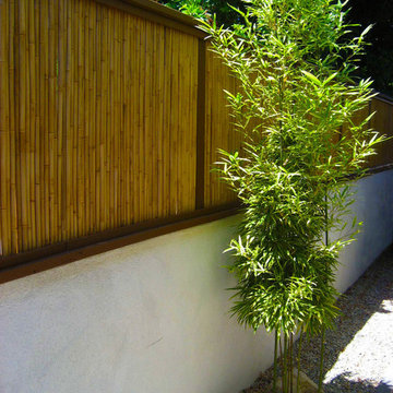 bamboo fence patio