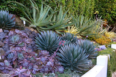 Design ideas for a small world-inspired side formal partial sun garden in Los Angeles with a retaining wall and gravel.