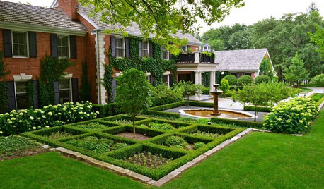 Boxwood: Still Shape-Shifting After 350 Years