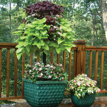 Baskets in Large Pots