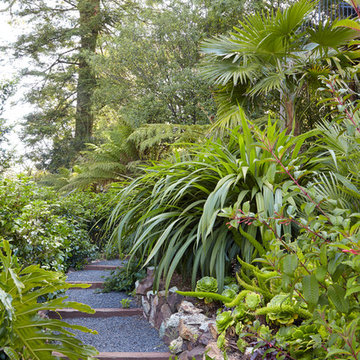 San Francisco Cloud Forest Garden