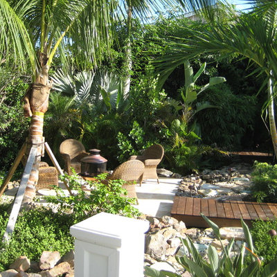 This is an example of a tropical backyard landscaping in Tampa.