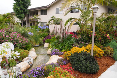 Inspiration for a tropical landscaping in San Diego.